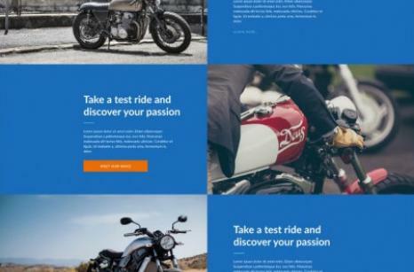 Drooler website