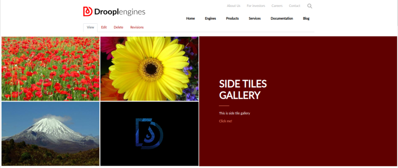 Sidebar tiles gallery w Droopler