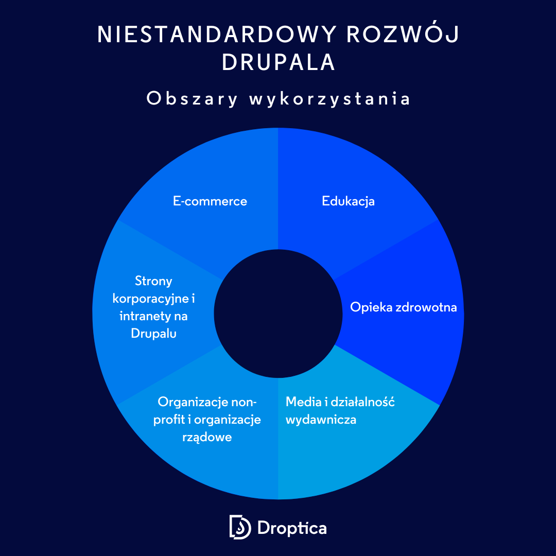 Grafika przedstawiająca obszary biznesowe, które mogą potrzebować niestandardowych stron internetowych na Drupalu