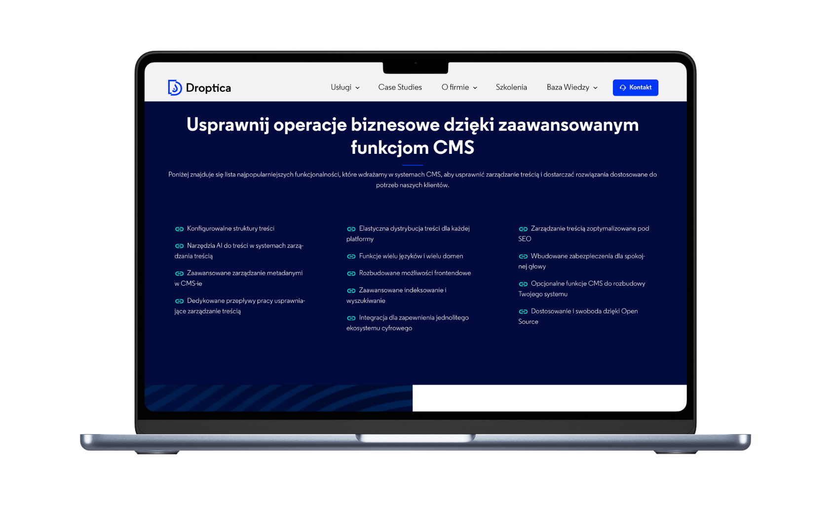 W 2024 stworzyliśmy nowy landing page na stronie Droptica z usługą budowy customowych systemów CMS.